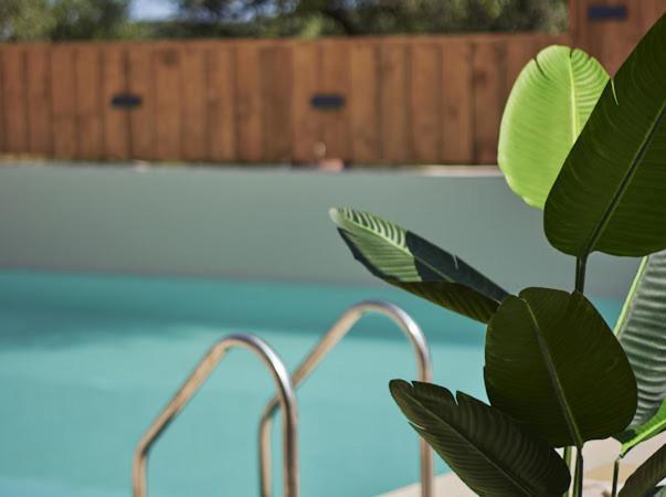 Galadriel With Private Pool & Jacuzzi Villa Kato Yerakarion